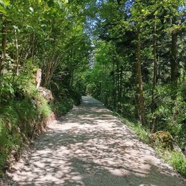 Themenweg Augstbach | © Kulturfux