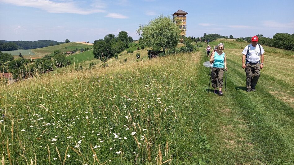 Wanderung Handspur - Gesamtstrecke - Touren-Impression #2.6 | © Spirit of Regions