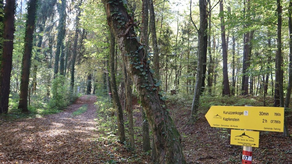 Wanderung Handspur - Gesamtstrecke - Touren-Impression #2.11 | © Spirit of Regions