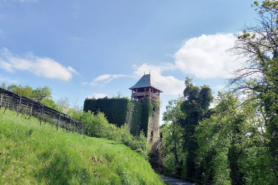 Themen- und Lehrpfad Linke Fußspur - Touren-Impression #1 | © Spirit of Regions