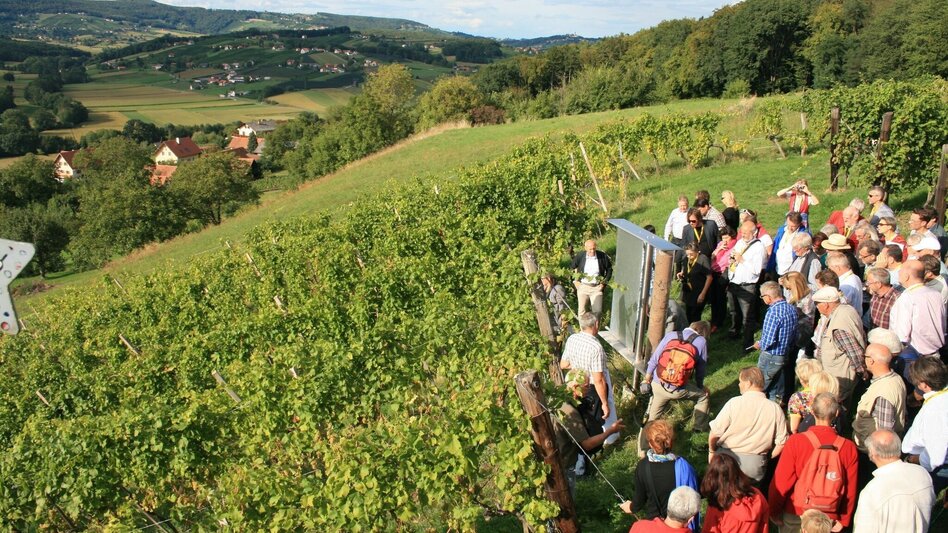 Wanderung Rückgrat Gesamtstrecke / Feldbach-Klöch - Touren-Impression #2.18 | © Spirit of Regions
