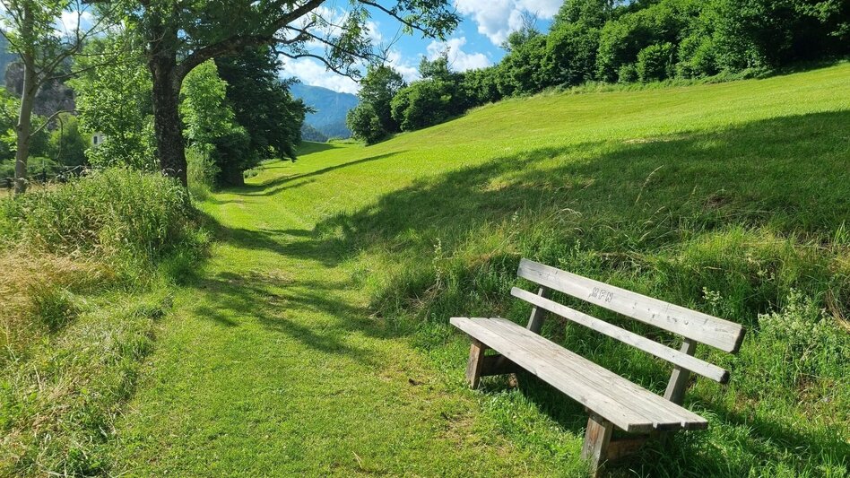 Wanderung Natur- und Kulturwanderweg Neuberg an der Mürz - Touren-Impression #2.10 | © TV Hochsteiermark