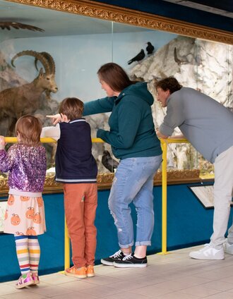 NaturErlebnisMuseum nature4future | Michael Koopmans | © Naturpark Mürzer Oberland