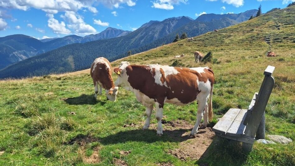 Wanderung Auf den Himmelkogel über Griesmoarkogel - Touren-Impression #2.4 | © Weges OG