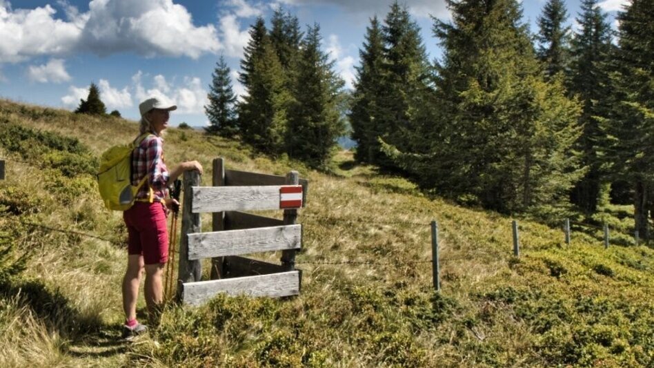 Wanderung Auf den Himmelkogel über Griesmoarkogel - Touren-Impression #2.5 | © Weges OG