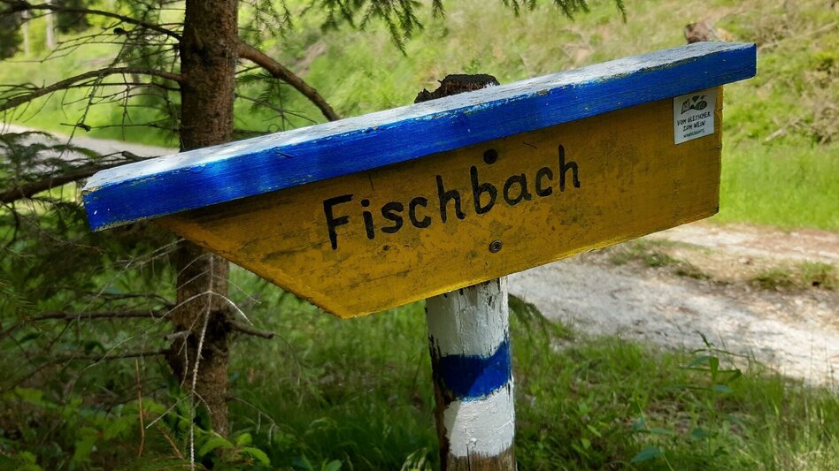 Hiking Route Teufelstein-Round, Fischbach - Touren-Impression #2.2 | © Oststeiermark Tourismus