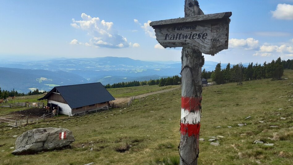 Hiking Route Hochwechsel circuit, Waldbach-Mönichwald - Touren-Impression #2.6 | © Oststeiermark Tourismus