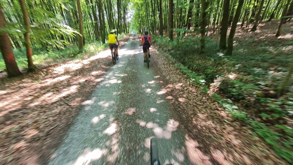 Mountainbike Hans-Pfeiffer Mountainbike Tour - Touren-Impression #2.3 | © Waltraud Pfeiffer