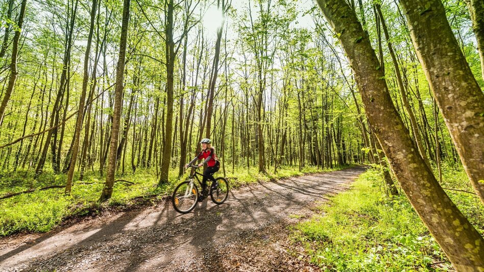 Gravelbike Graveling through Styria / Neustift-Mureck / Gravel Austria - Touren-Impression #2.5 | © Thermen- & Vulkanland