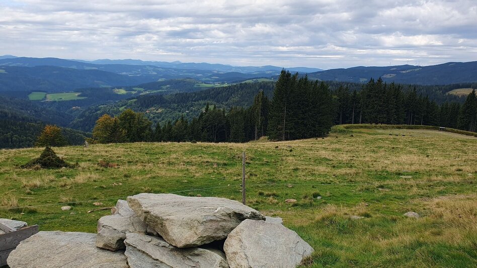 Hiking Route Glatzl Trahütten Alp-round, St.Lorenzen am Wechsel - Touren-Impression #2.1 | © Oststeiermark Tourismus