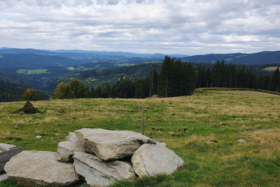 Hiking Route Glatzl Trahütten Alp-round, St.Lorenzen am Wechsel - Touren-Impression #1 | © Oststeiermark Tourismus