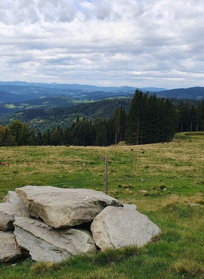 Glatzl Trahütten Alm outlook, municipality of St. Lorenzen am Wechsel in Eastern Styria | © Oststeiermark Tourismus | Anja Reichenbäck | © Oststeiermark Tourismus