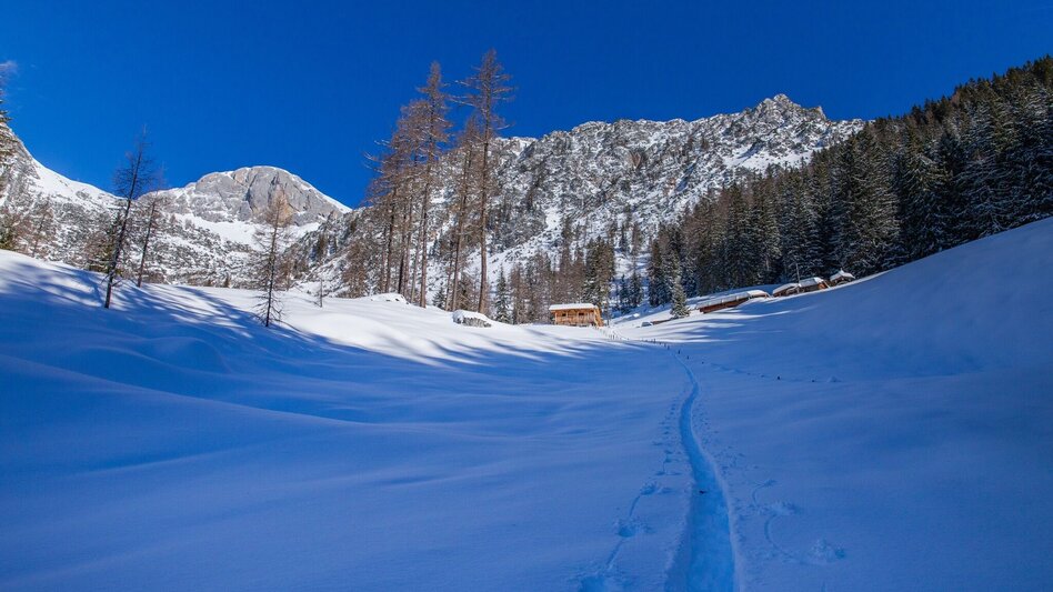 Ski Touring Scheichenspitze - High-Alpine ski tour - Touren-Impression #2.1 | © Erlebnisregion Schladming-Dachstein