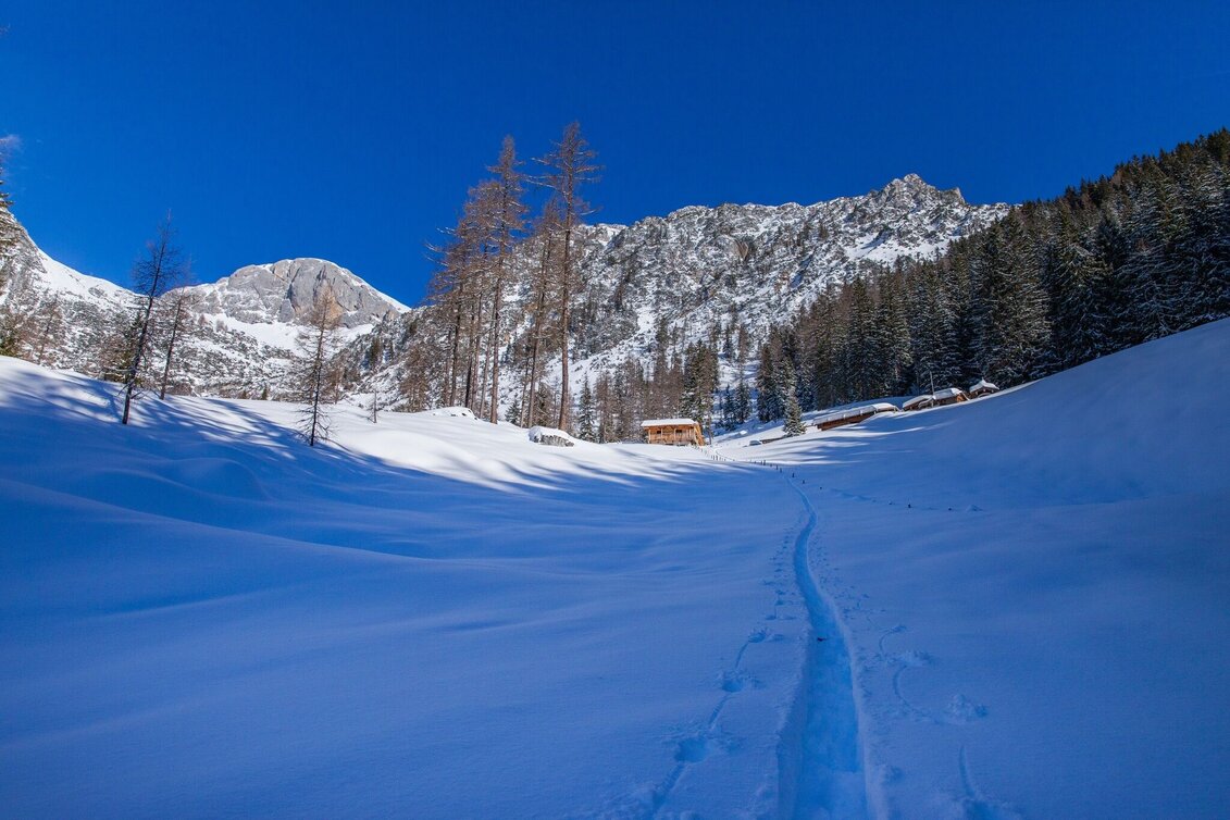 Ski Touring Scheichenspitze - High-Alpine ski tour - Touren-Impression #1 | © Erlebnisregion Schladming-Dachstein