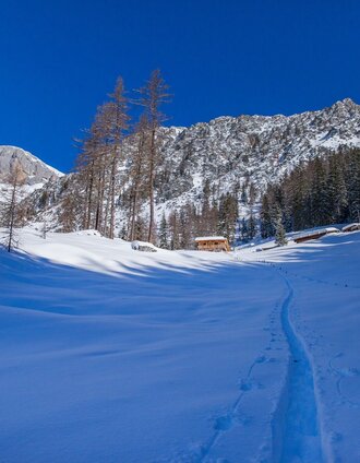 Ascent track to the Lärchbodenalm | René Eduard Perhab | © Erlebnisregion Schladming-Dachstein