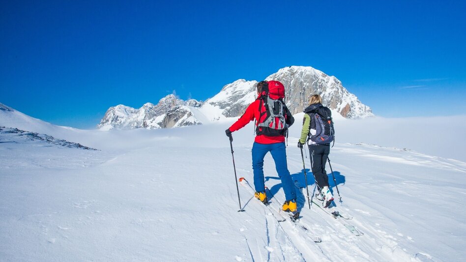 Ski Touring Scheichenspitze - High-Alpine ski tour - Touren-Impression #2.6 | © Erlebnisregion Schladming-Dachstein