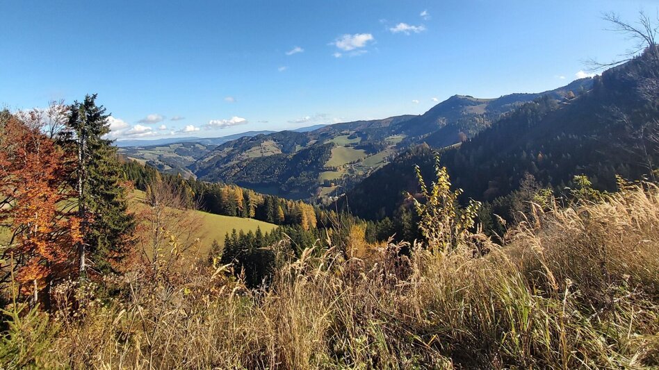 Wanderung Haberlstall-Runde, Strassegg - Touren-Impression #2.14 | © Oststeiermark Tourismus