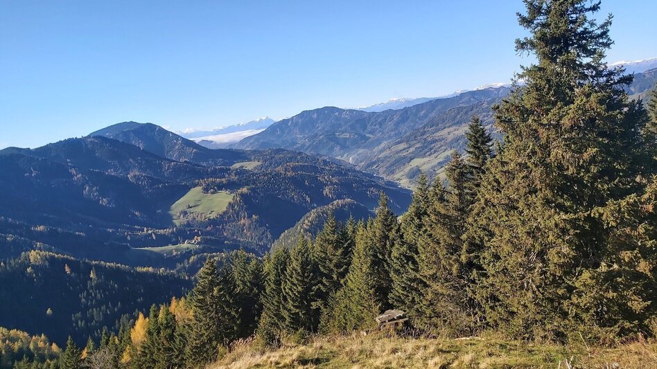 Wanderung Haberlstall-Runde, Strassegg - Touren-Impression #2.5 | © Oststeiermark Tourismus