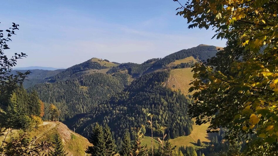 Wanderung Haberlstall-Runde, Strassegg - Touren-Impression #2.7 | © Oststeiermark Tourismus