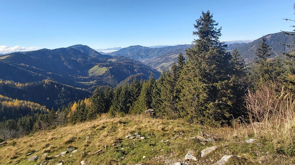 Wanderung Haberlstall-Runde, Strassegg - Touren-Impression #2.11 | © Oststeiermark Tourismus