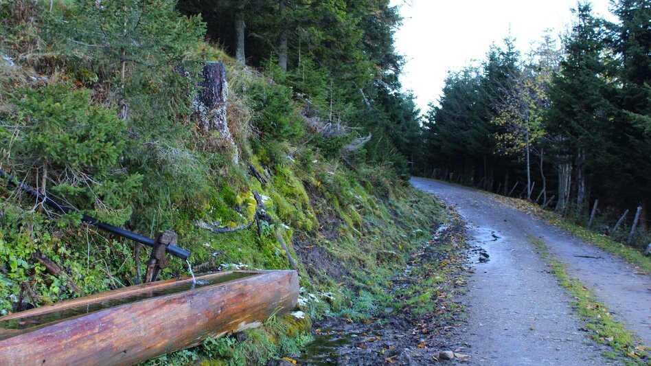 Wanderung Haberlstall-Runde, Strassegg - Touren-Impression #2.13 | © Oststeiermark Tourismus