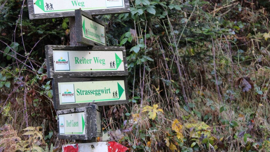 Wanderung Haberlstall-Runde, Strassegg - Touren-Impression #2.16 | © Oststeiermark Tourismus