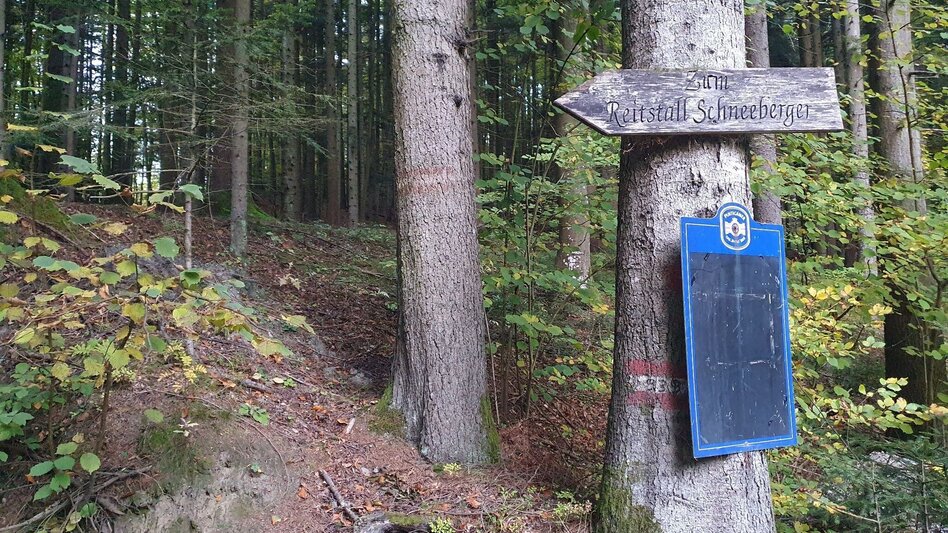 Hiking Route Hartberg-round with viewpoint Kreuzbühel, Schäffern - Touren-Impression #2.4 | © Oststeiermark Tourismus
