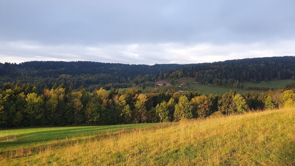 Hiking Route Hartberg-round with viewpoint Kreuzbühel, Schäffern - Touren-Impression #2.6 | © Oststeiermark Tourismus
