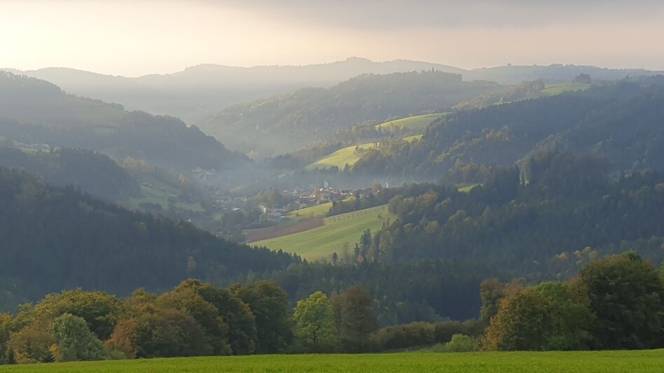 Hiking Route Hartberg-round with viewpoint Kreuzbühel, Schäffern - Touren-Impression #2.9 | © Oststeiermark Tourismus