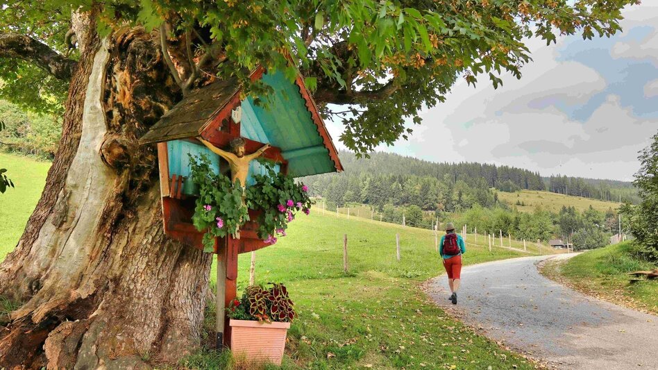 Wanderung Hauereck-Steinriegel-Runde, Ratten - Touren-Impression #2.6 | © Oststeiermark Tourismus
