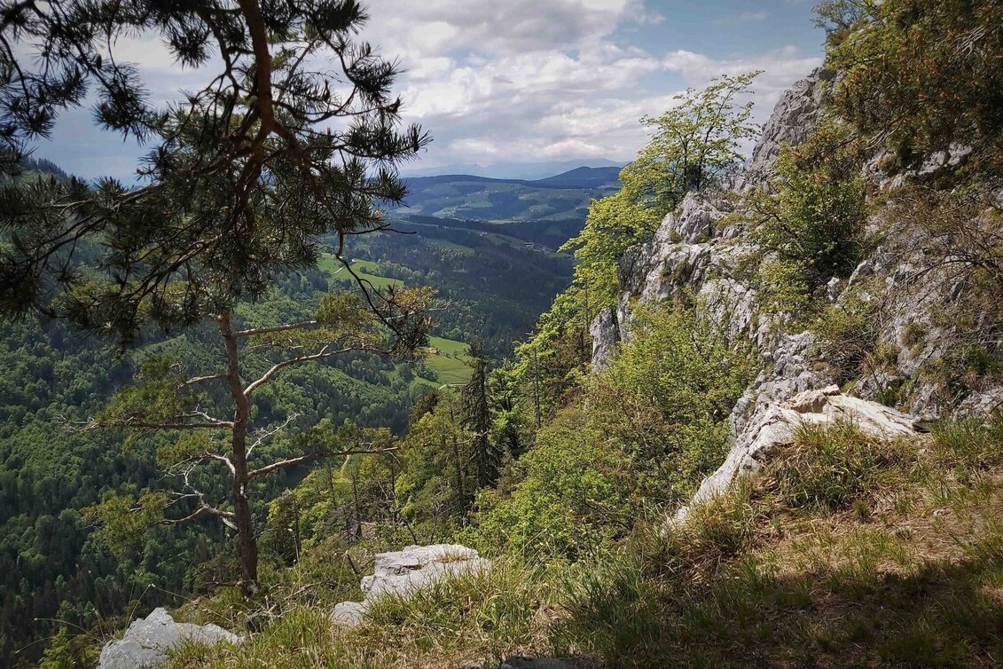 Hiking Route Gösser & Sattelberge-Runde, Dürntal/Weiz - Touren-Impression #1 | © Oststeiermark Tourismus