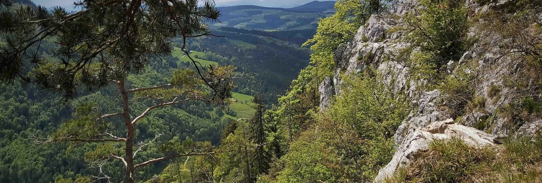 Wanderung Gösser & Sattelberge-Runde, Dürntal/Weiz - Touren-Impression #1 | © Oststeiermark Tourismus