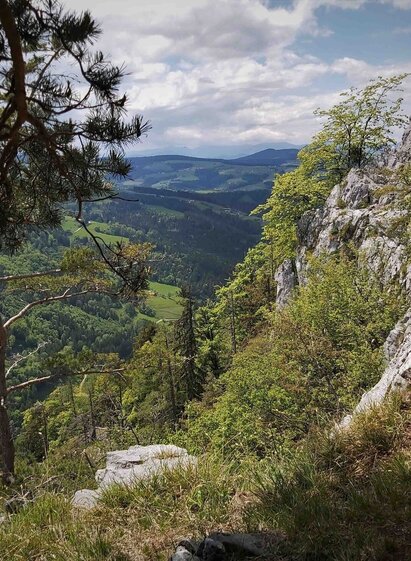 Gösser-Wall near_Almenland_Eastern Styria | © Oststeiermark Tourismus | Christine Pollhammer | © Oststeiermark Tourismus