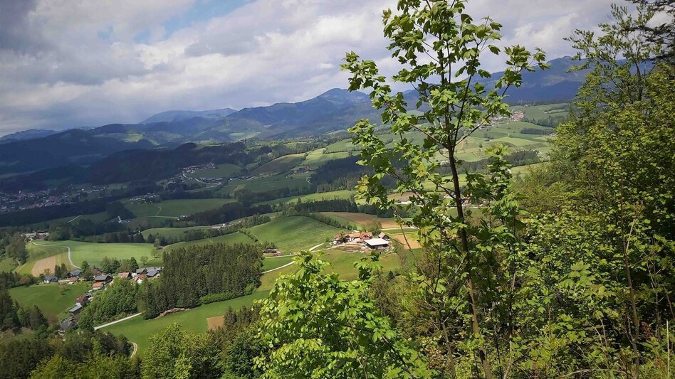 Hiking Route Gösser & Sattelberge-Runde, Dürntal/Weiz - Touren-Impression #2.5 | © Oststeiermark Tourismus