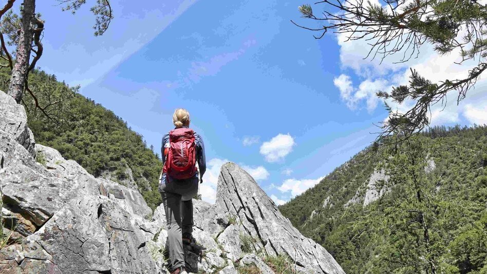 Hiking Route Jägersteig & Patschaberg, Weizklamm gorge - Touren-Impression #2.1 | © Oststeiermark Tourismus