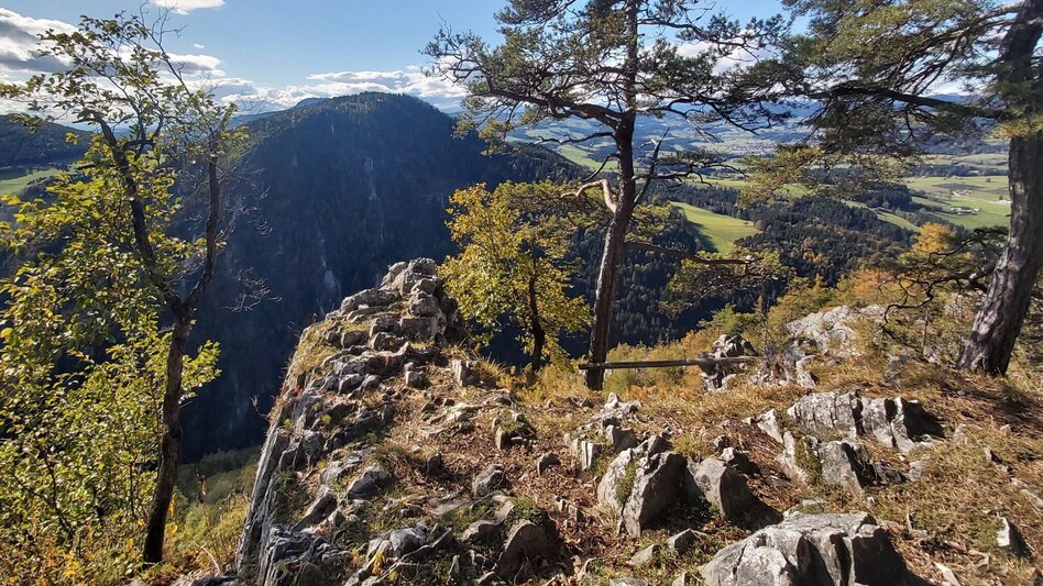 Hiking Route Jägersteig & Patschaberg, Weizklamm gorge - Touren-Impression #2.3 | © Oststeiermark Tourismus