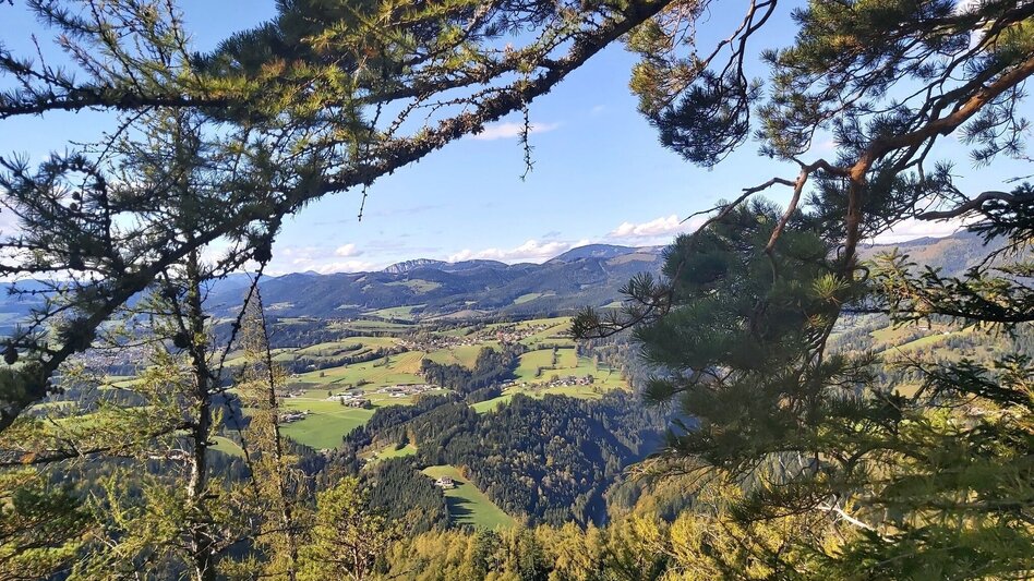 Hiking Route Jägersteig & Patschaberg, Weizklamm gorge - Touren-Impression #2.4 | © Oststeiermark Tourismus