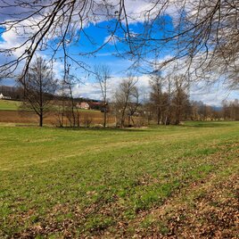 Landschaft_Lafnitzau-Runde_Oststeiermark | © Weges