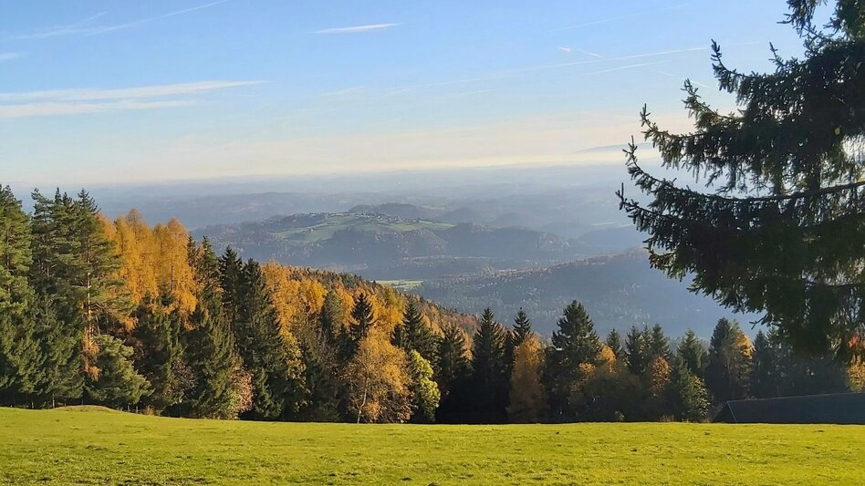 Hiking Route Stross circuit, Gschaid/Weiz - Touren-Impression #2.1 | © Oststeiermark Tourismus