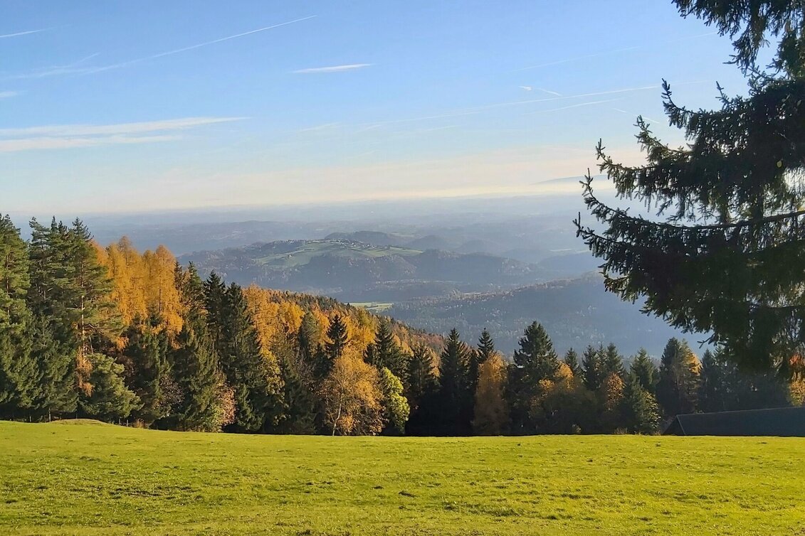 Hiking Route Stross circuit, Gschaid/Weiz - Touren-Impression #1 | © Oststeiermark Tourismus