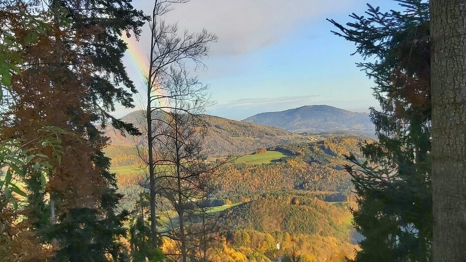 Hiking Route Stross circuit, Gschaid/Weiz - Touren-Impression #2.6 | © Oststeiermark Tourismus