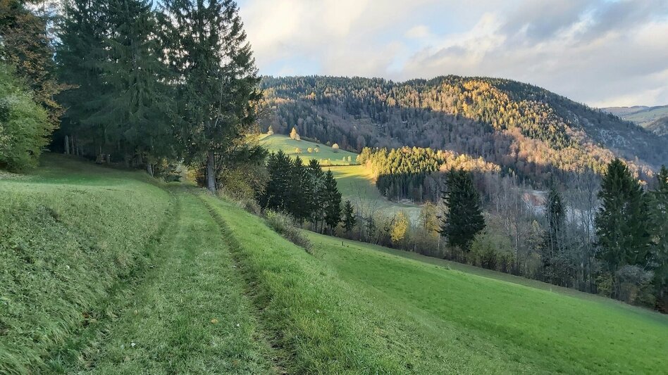 Hiking Route Stross circuit, Gschaid/Weiz - Touren-Impression #2.7 | © Oststeiermark Tourismus