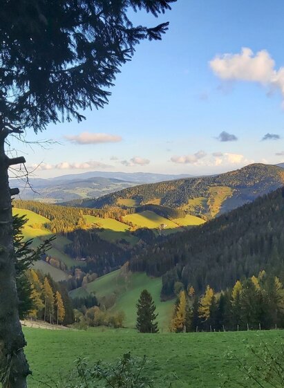 View Haberlstall Alm_Sommeralm_Eastern Styria | © Oststeiermark Tourismus | Christine Pollhammer | © Oststeiermark Tourismus