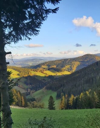 Aussicht Haberlstall Alm_Sommeralm_Oststeiermark | Christine Pollhammer | © Oststeiermark Tourismus