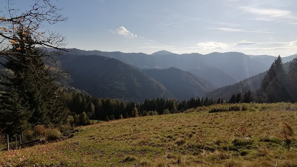 Hiking Route Hochschlag, Straßegg - Touren-Impression #2.3 | © Oststeiermark Tourismus