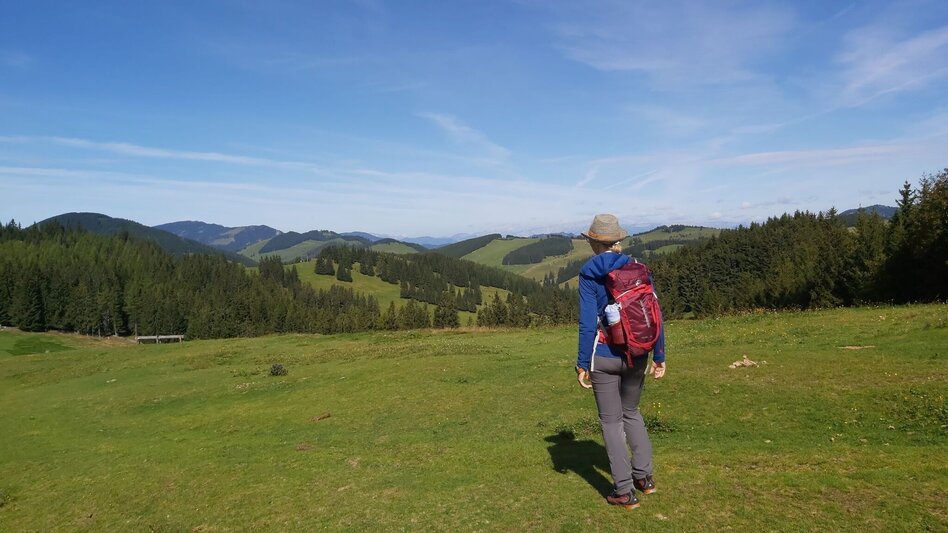 Hiking Route Alm-Runde über Raabursprung, Passail - Touren-Impression #2.7 | © Oststeiermark Tourismus