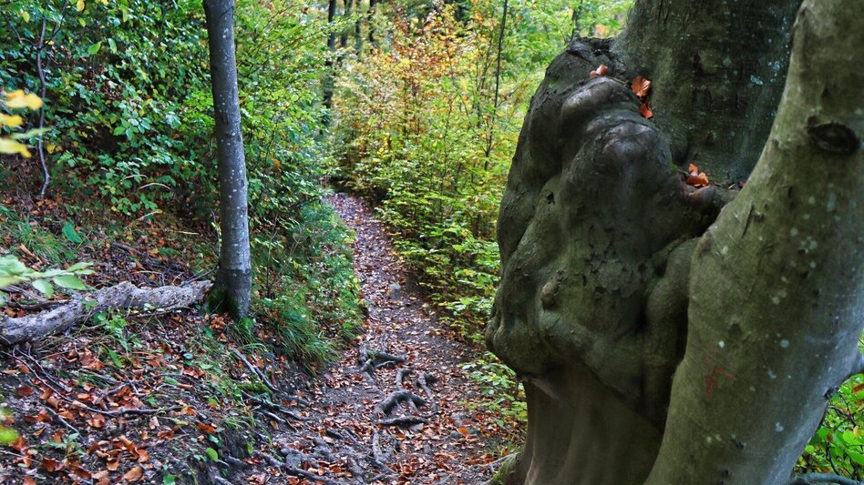 Hiking Route Dragon´s Den, Mixnitz - Touren-Impression #2.2 | © Oststeiermark Tourismus