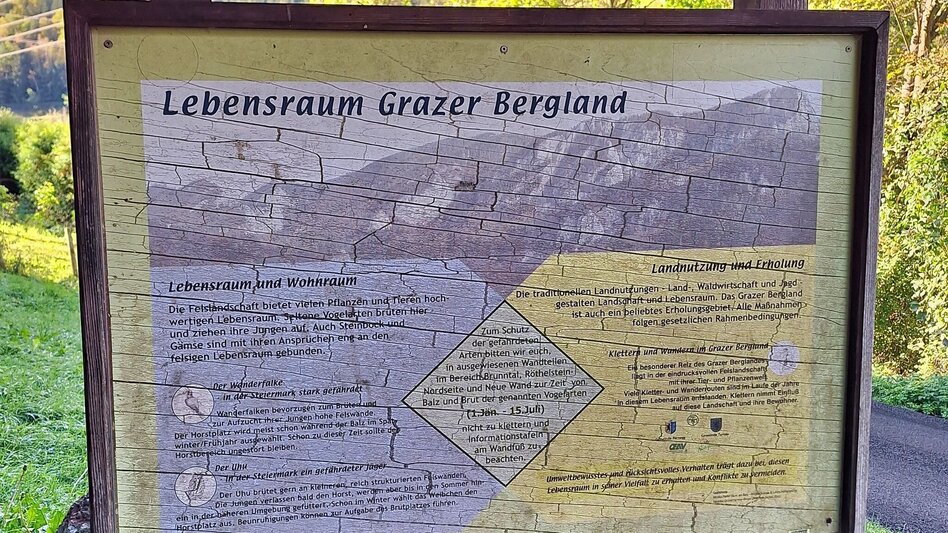 Hiking Route Dragon´s Den, Mixnitz - Touren-Impression #2.5 | © Oststeiermark Tourismus