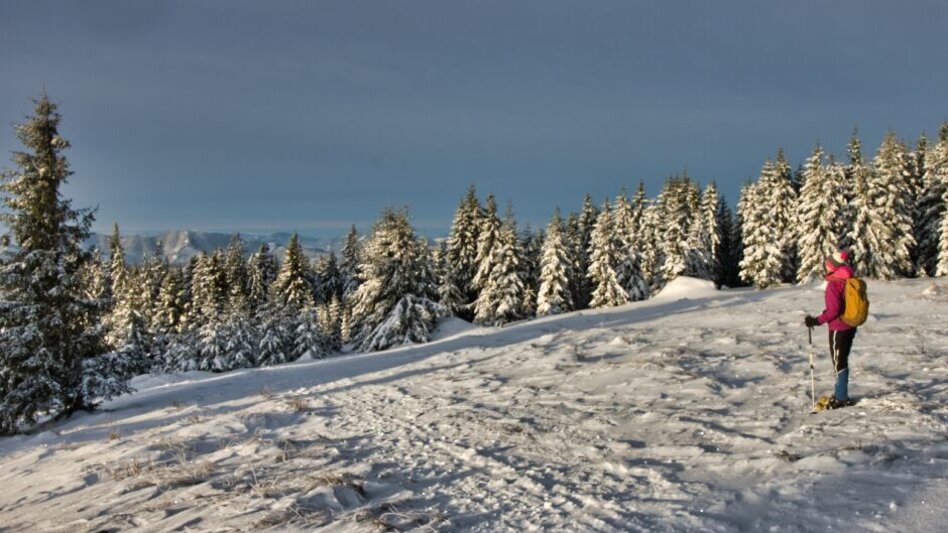 Winterwandern Wintersonnwendtour Teufelstein, Fischbach - Touren-Impression #2.5 | © Oststeiermark Tourismus