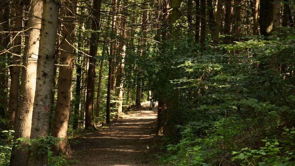 Hiking Route Pestsäulenweg in Laßnitzhöhe - Touren-Impression #2.1